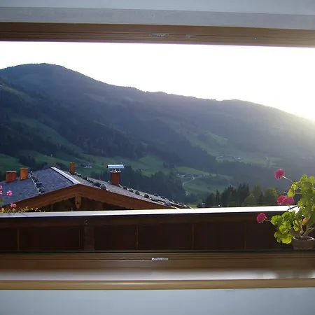 Apartment Marlene Alpbach