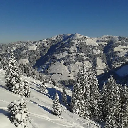 Marlene Lejlighed Alpbach