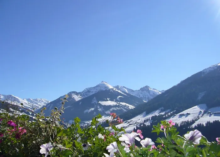 Marlene Apartamento *